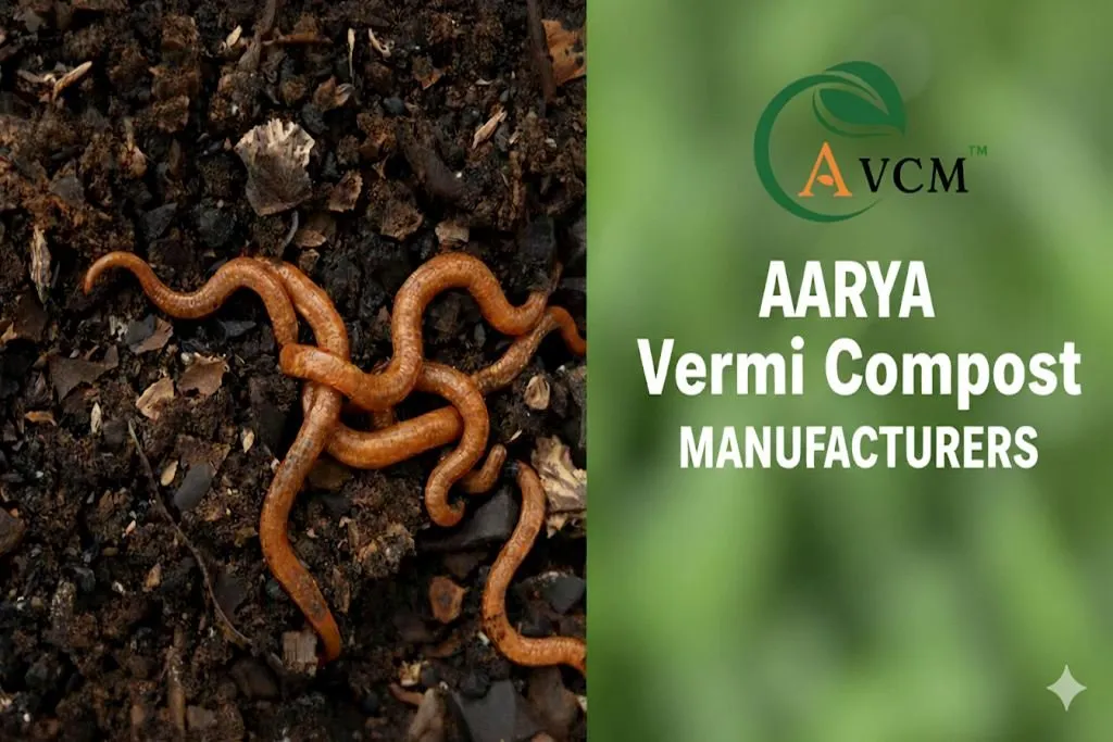 Aarya Vermi Compost Carousel 2
